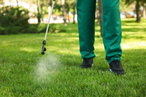 Best Pest Control for Restaurants  in Loughman, FL
