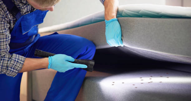 Pest Control for Restaurants in Loughman, FL