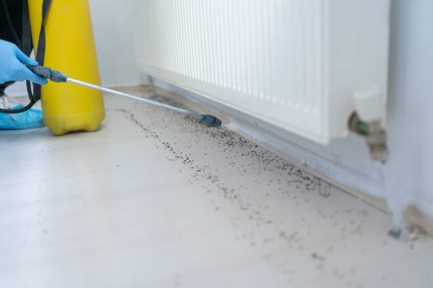 Pest Control Cost in Loughman, FL
