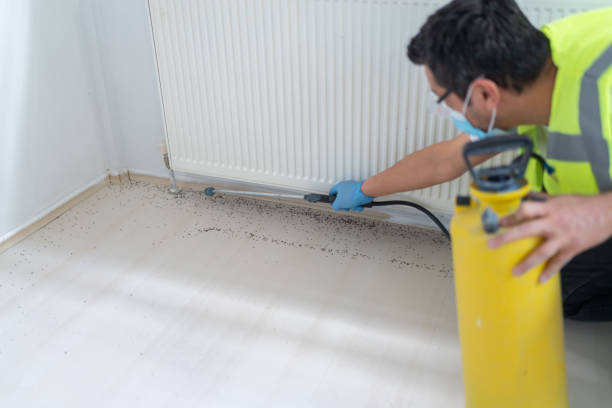 Best Affordable Pest Control Services  in Loughman, FL