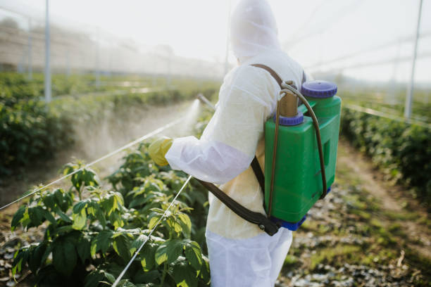 Best Best Pest Control Companies  in Loughman, FL